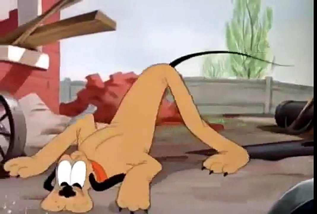 Pluto Cartoon _ T-Bone For Two