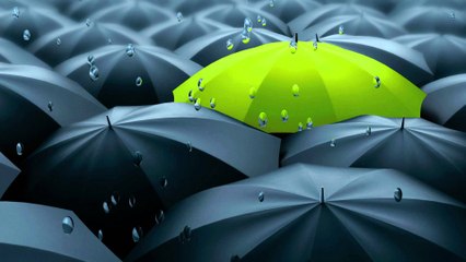 A1 Report, TV ndryshe nga te tjeret! Cadra