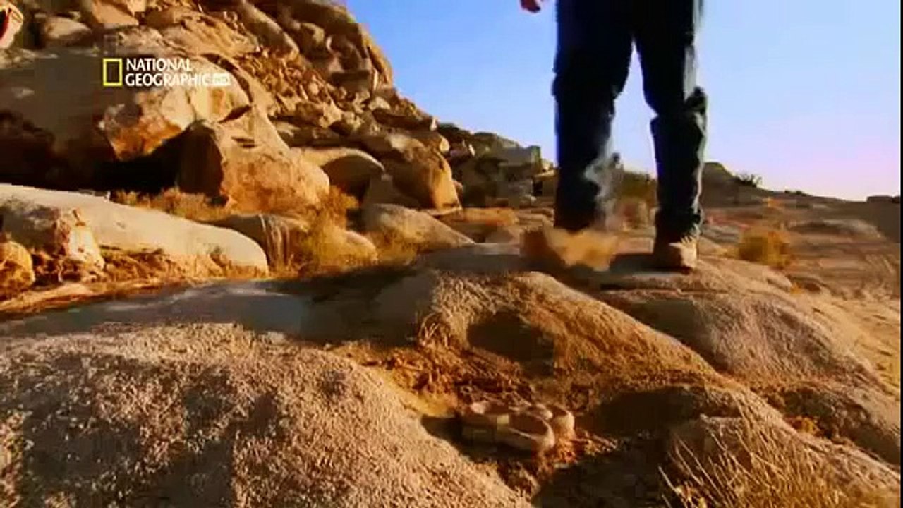 WORLD'S DEADLIEST ANIMALS Full Length Video Documentary of Discovery