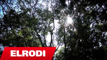 Dava Gjergji - N'Shkup kem le e n'Shkup do t'vdesim (Official Video HD)