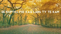 2Trip - Pse kaq Larg (Offical Lyrics Video)