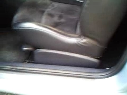 Présentation Clio RS 172