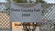 Dane County Walk-Trot-Canter Equitation