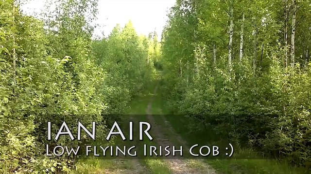 Ian Air - A low flying Irish cob galloping on a forest road :)