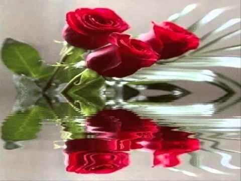 Poezia Amanet Per ne Malsi Lexoi Dani Realizoi RADIO ZERI ILIRIDES