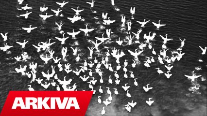 Valentino Mitaj - Thank you God (Official Video HD)