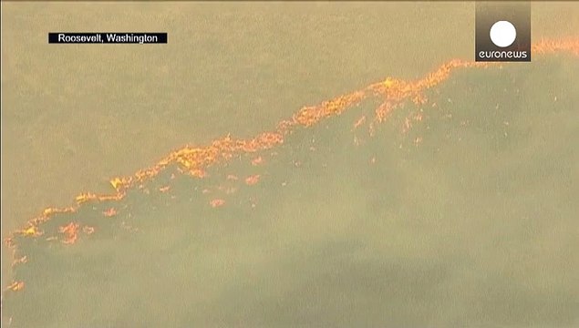 Gli USA alla prova del fuoco. Brucia la Napa Valley