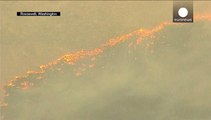 USA: Waldbrände weiter außer Kontrolle - Gefahr durch neue Trockenheit