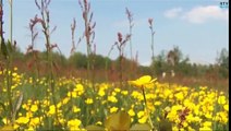 Natuurlijk Noord-Holland: het Diemerbos