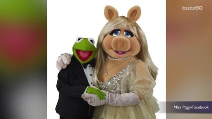 Kermit and Miss Piggy call it quits