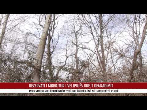 PREJ VITESH NUK ËSHTË NDËRHYRË DHE ËSHTË LËNË NË HARRESË TË PLOTË