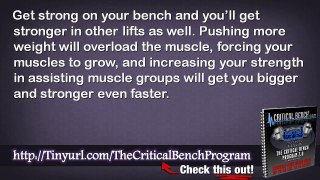 Critical Bench Press Program Review And Does Critical Bench Program Work