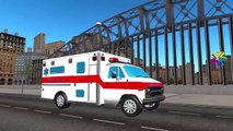 Ambulance Cartoons For Children | Ambulance Toy Construction | Ambulance Trucks for Kids