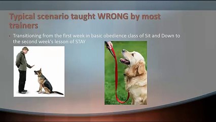 How to Obtain RELIABLE behaviors using the 3 D’s of Dog Training