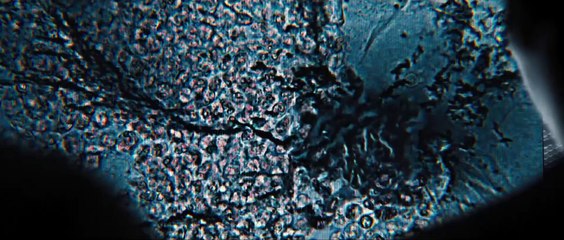 Le Labyrinthe - La Terre Brûlée - Bande annonce finale [Officielle] VF HD