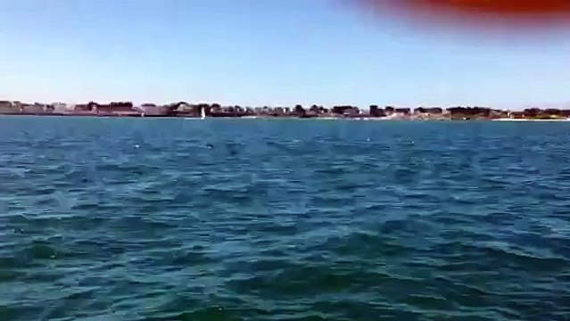 Dauphins au large de Quiberon