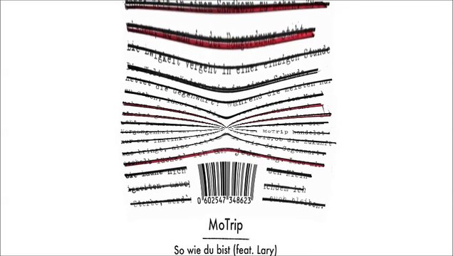 MoTrip vs Karussell - So wie du bist als ich fortging (Bastard Batucada Tao Mashup)