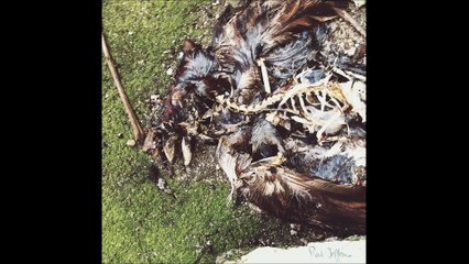 Park Jefferson - Park Jefferson