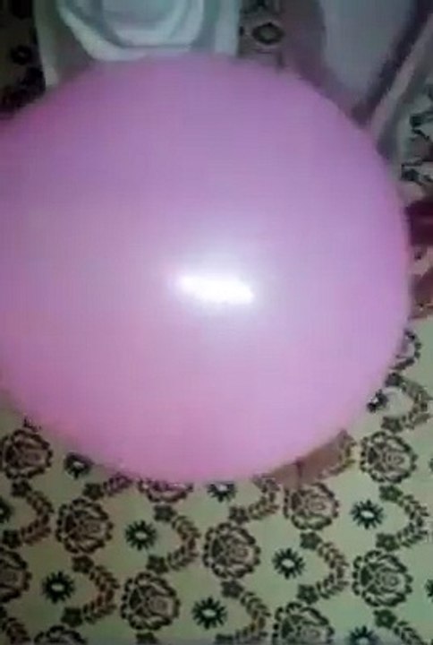 11739979_1509202072703619_114067025_n