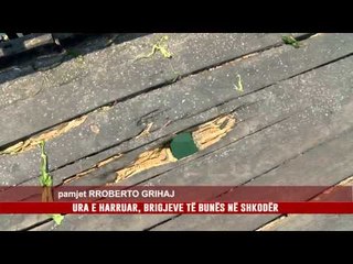 URA E HARRUAR, BRIGJEVE TË BUNËS NË SHKODËR