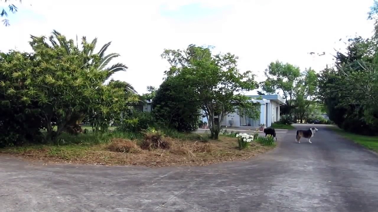 Too many trees to trim, too many grass to cut