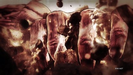 Attack on Titan - Teaser Trailer.