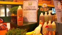 Dagli agridetersivi agli ecofunghi,, il made in Italy ‘verde’ all’Expo