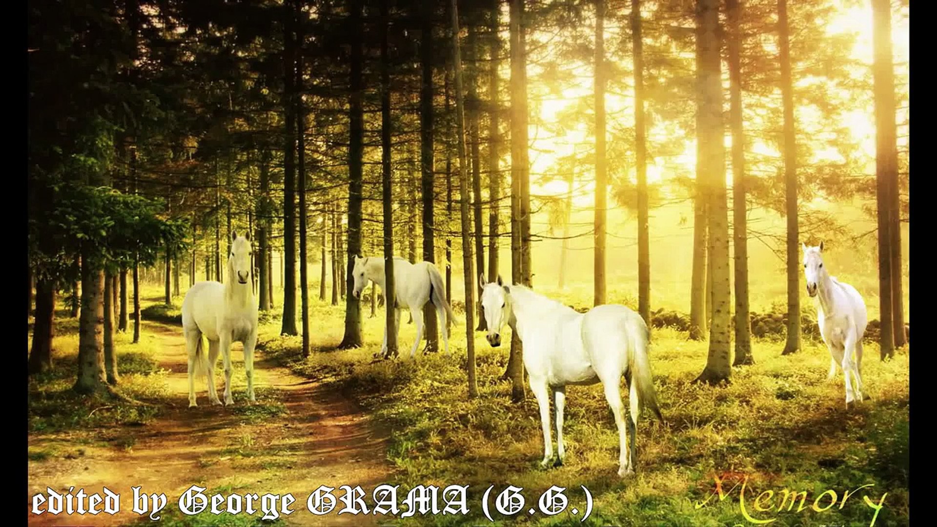 Elton John And Luciano Pavarotti Live Like Horses White Horses Lyrics Hd 1080