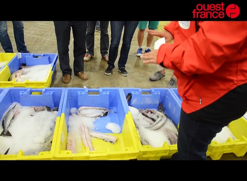 Lorient / visite du port de Keroman