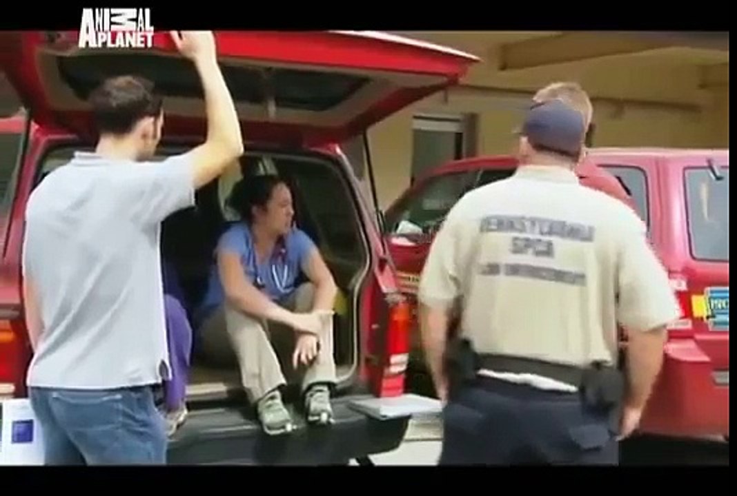 Animal Cops: Philadelphia 14 Urban Puppy Mill - Documentary Films HD