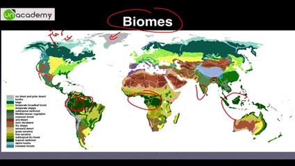 EnE Biodiversity 2.2.1: Biomes - Unacademy UPSC IAS Preparation Roman Saini