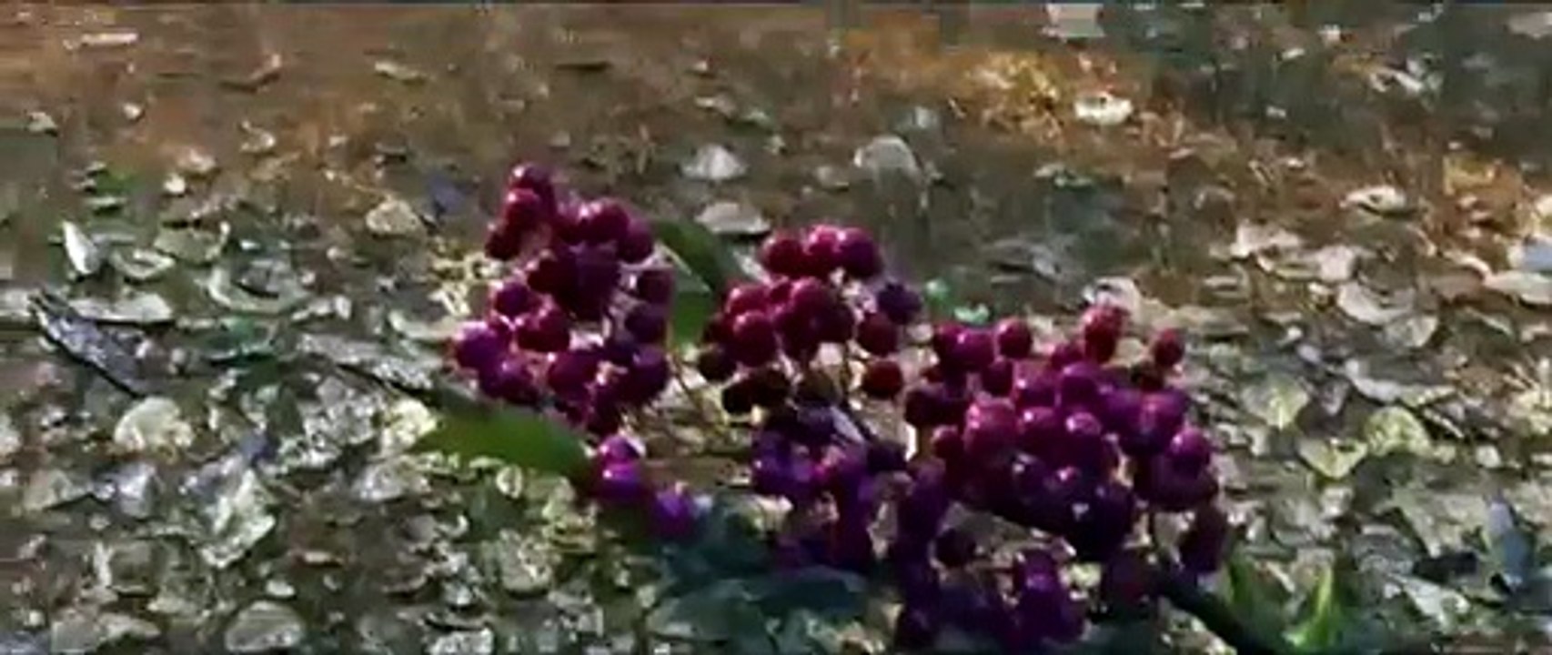 Хороший динозавр , 2015  ТВ-ролик