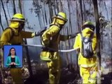 Las llamas consumieron más de 280 hectáreas en Cotopaxi