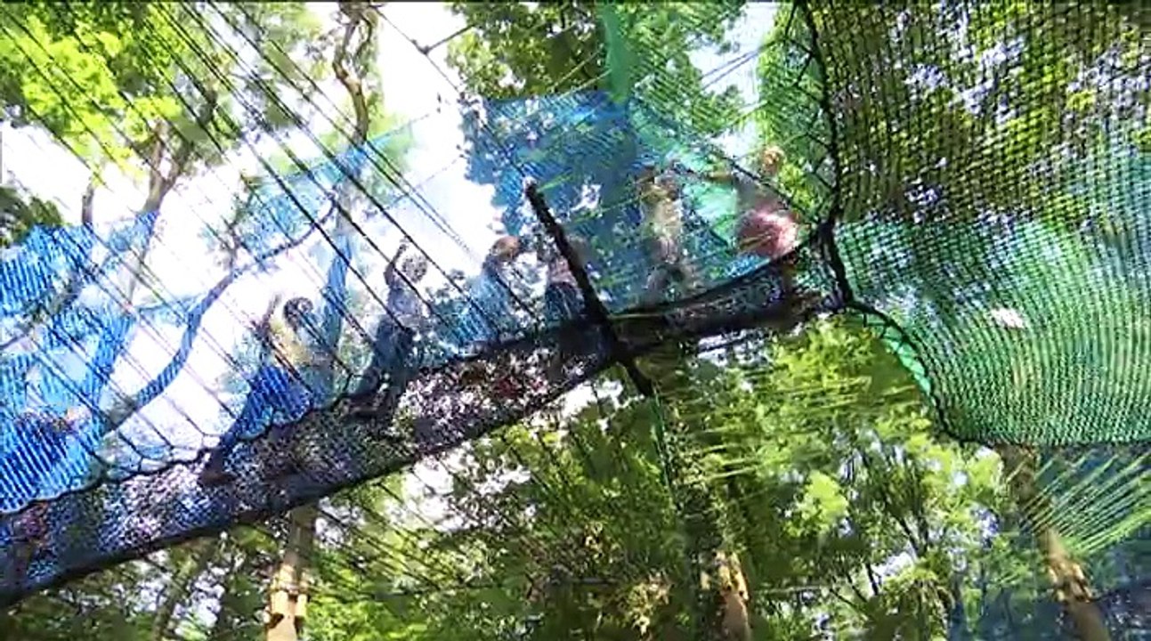 Parc d'Ohlain : s'amuser au plus haut des cimes