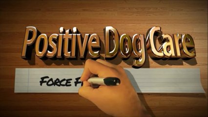 Dramatic dog performs action scene with owner