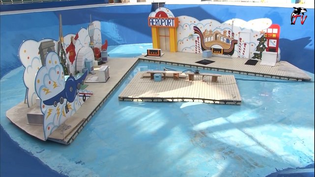 Marineland TV - Reportage N°70 - Rénovation du bassin des otaries