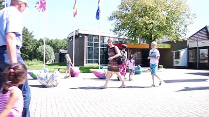 Wat u altijd al wilde weten over zeehonden - RTV Noord