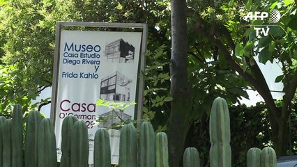 معرض في مكسيكو يكشف عن جوانب حميمية للرسامة فريدا كالو