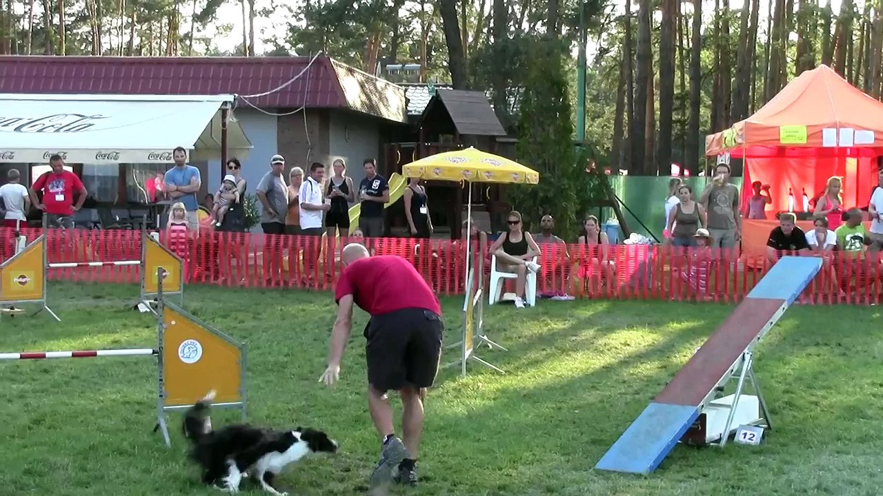 ricky & jam - agility bcc 2014 slovakia - pome 02/08
