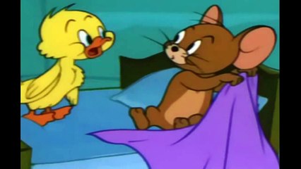 Tom and Jerry Cartoon 112 The Vanishing Duck 1958 HD