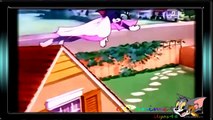 Tom and Jerry 2015 - Tom And Jerry Fast And The Furry Full Cartoon