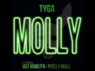 TYGA ft. WIZ KHALIFA and MALLY MALL - MOLLY. (INSTRUMENTAL).