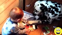 Best Funny Videos Videos Babies Laughing At Dogs Cute Dog Baby Compilation 1416 255 H264 1280x720