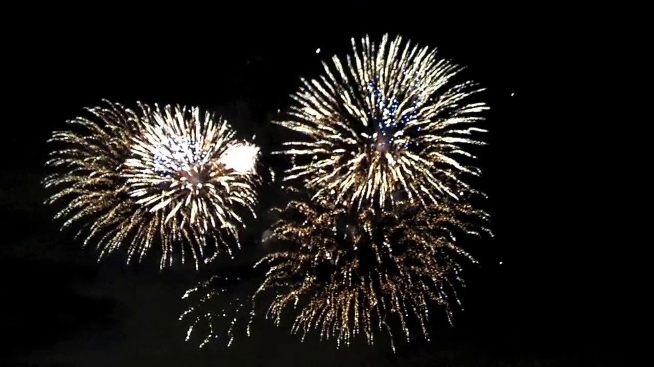 Bonfire Night Event 2013 - Battersea Park Fireworks Display