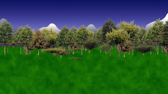 The Gospel Project for Kids Bible Story Video, Creation