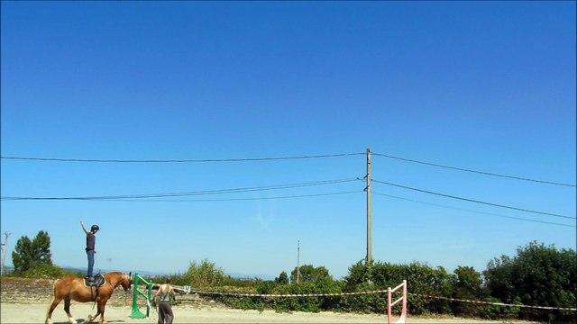 Voltige entraînement cercle et ligne