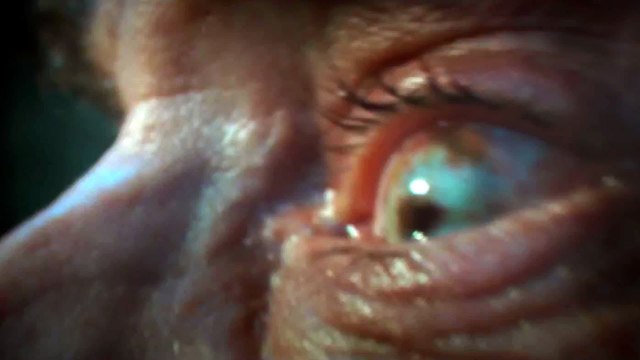 THE HALLOW - ||Official Trailer Teaser # 1 || - Horror - 2015 - FUll hD - Entertainment City