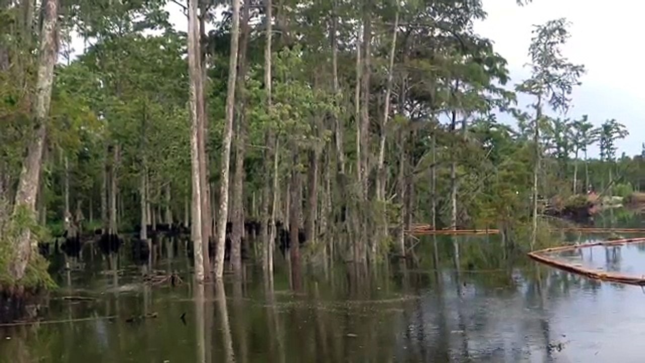 アメリカの底なし沼が尋常じゃない件　地底が動き飲み込まれる　ルイジアナ州