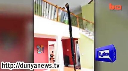 Dunya News- Woman makes Guinness world of record of long hair .