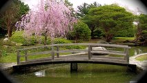 Japanese Garden - Roger Williams Park